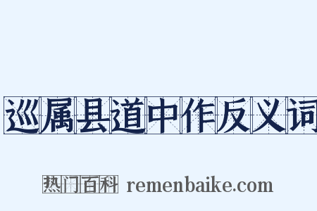 巡属县道中作反义词是什么意思的图片